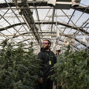 100% Automatic Blackout Greenhouse System Hot Dip Galvanized