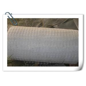 Quality Horizontal Plastic Climber Plant Supporting Net , Extrusion Type Green Plastic Netting for sale