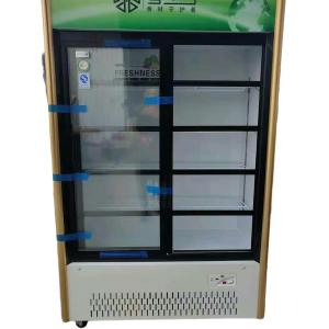 Commercial Double Glass Door Display Freezer Sliding Beverage