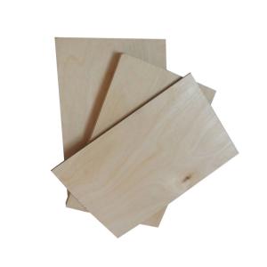 CARB 12mm 18m Birch Hardwood Plywood For Furniture