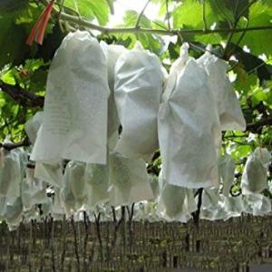 250GSM Fabric Fruit Protection Bags
