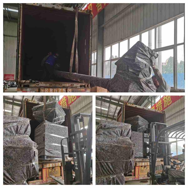 Chicken Beef Sheep Poultry Meal Pellet Mill Pelletizer Production Line Feed Pellet Production Line