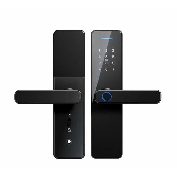 QLEUNG Tuya Wifi TTlock App Digital Locks Advanced Fingerprint Door Lock with