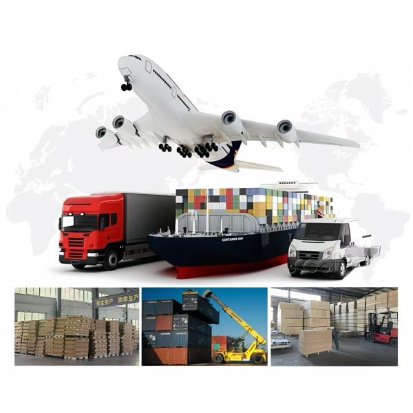 FTTH Optical Fiber PLC Splitter 1*2 1*4 1*8 1*16 1*32 1*64 With SC Connectors