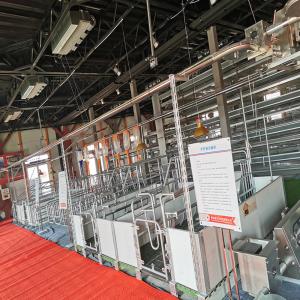 Automated Ventilation Steel Frame Chicken Coop Management Poultry House