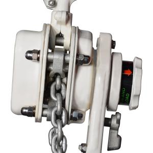 JTVG-H 0.8-9Ton Lever Hoist Corrosion Resistant and Customizable for High