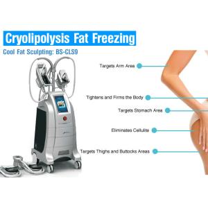 Fat Freeze Cryolipolysis Treatment For Body Slimming
