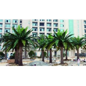 Big Tropical Artificial Date Palm Tree No Nursing Highly Simulated Plants