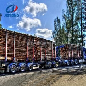 11.00r20 12r22.5 315 385 Tires Timber Truck Semi Trailer for Smooth Log