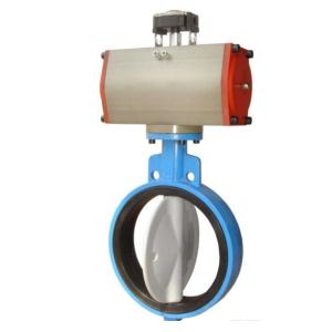 Customize Ductile Iron Pneumatic Actuator Butterfly Valve with Complete