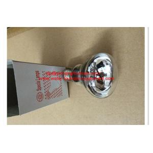 Niche Underwater Swimming Pool Lights R63 100W Halogen Bulb