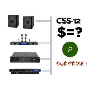 AC3 12 Inch Speaker Pair 600W Digital Karaoke Power Amplifier