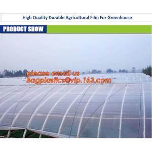 GARDEN GREENHOUSE AGRICULTURAL PLASTIC MULCH FILM, 100% PP/PE Woven Agriculture