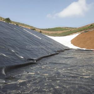 Graphic Design HDPE Dam Liner for Aquaculture Fish Farming Project Solution