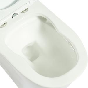 Bowl One Piece Water Closet Jet Siphonic Flushing Compact Elongated Toilet