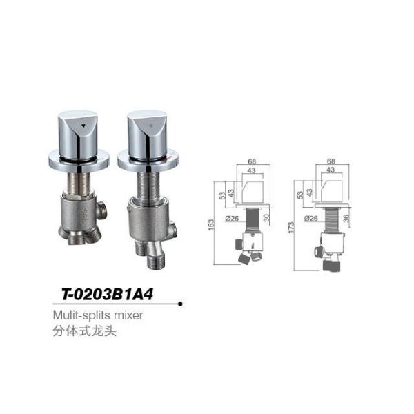 Bathtub mixer,Faucet,T-0203B1A4