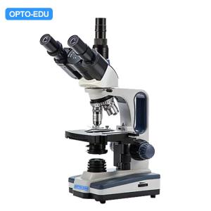 Quality A11.1170-T Compound Optical Microscope Biological Wf10x for sale