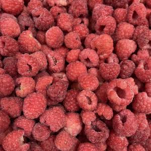 Manufacturer Factory Price IQF High Quality Fresh Food Frozen Raspberry Serbia