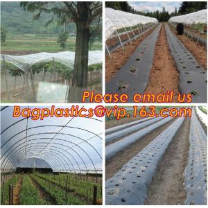 Agricultural Mulching Film Used for Fruit, Flower and Vegetable