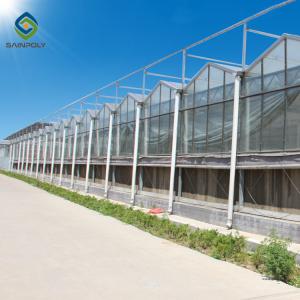 Skeleton 12m Flower Polycarbonate Greenhouse Heat Resistance