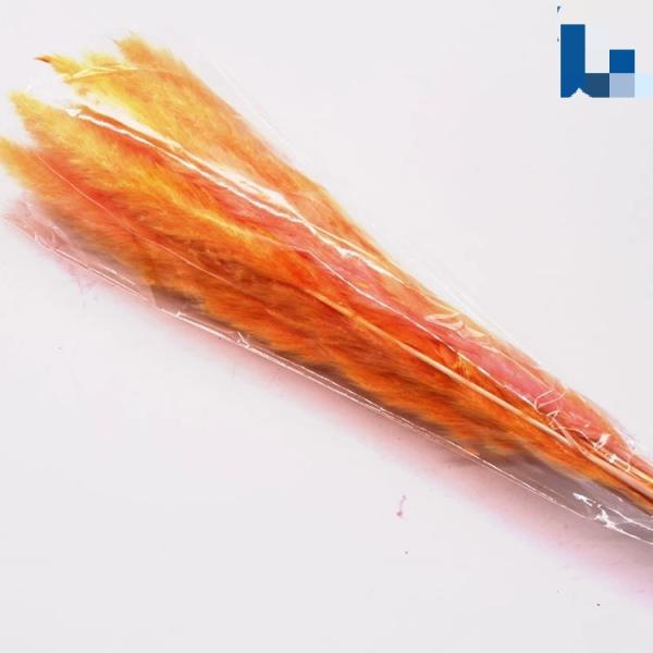 Wholesale Price Preserved Flower Dried Rabbit Tail Grass Decorative Flowers