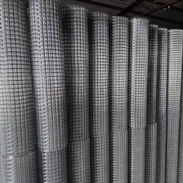 Rodent Barrier Welded Wire Mesh Roll Custom 1 Inch Small Mesh Base Section