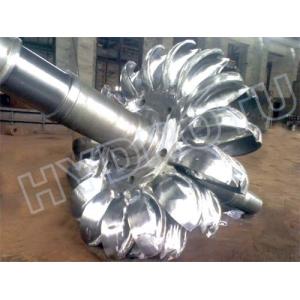 Pelton Hydro Turbine for Water Heads 80 - 800m
