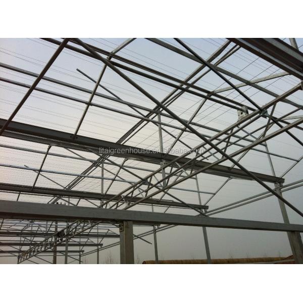 Green Agricultural Glass Greenhouse with 5mm Covering Span Width 9.6m 10.8m 12m