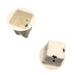 Inner Sugarcane Pulp Packaging Disposable Environmental Friendly Multiusage