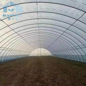 Agricultural Single Span Tunnel Strawberry PE Greenhouse Tunnel Plastic