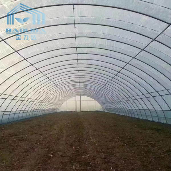 Agriculture Plants Growing Strong Structure Polyethylene Film Greenhouse for