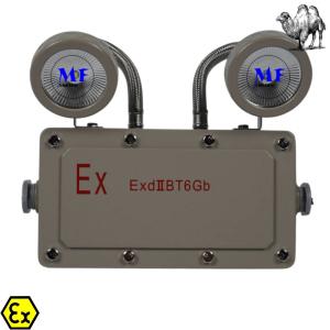 24h Hour Time Lithium Battery Green Rechargeable 6000K 100-240V LED Emergency