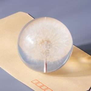 Fashion Crystal Ball Paperweight , Resin Dandelion Paperweight