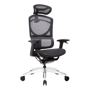 Double Back Ergo Mesh Back Office Chair Ergonomic Executive Swivel