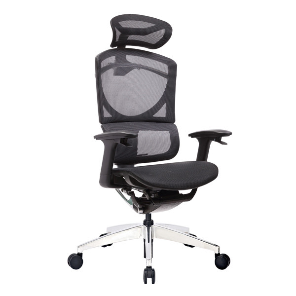 Buy Double Back Ergo Mesh Back Office Chair Ergonomic Executive Swivel at wholesale prices