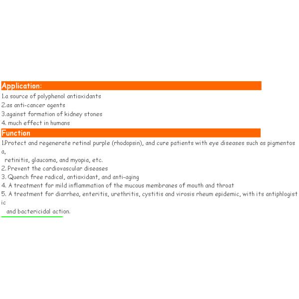 Pure Natural Plant Cranberry Extract Powder(Cranberry Extract for Anti-oxidant