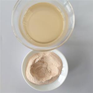 Wholesale Carica Papaya Fruit Juice Powder/Carica Papaya