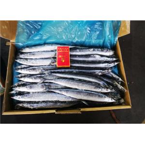 Whole Round #2 BQF Freezing Pacific Saury Fresh Frozen Fish