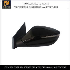 11 Hyundai Azera Door Mirror Electric with Lamp