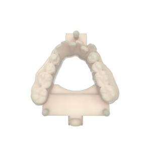 Night Guard 3d Dental Resin Comfortable Opposite Jaw Model Resin