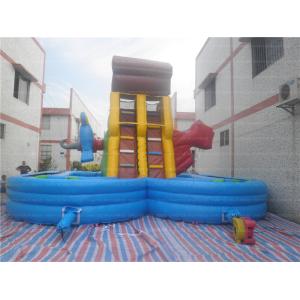 Unique Inflatable Slide (CYSL-39)