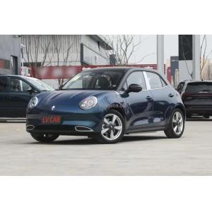 2024 ORA Good Cat Electric Car with 49.9KWH Battery Capacity and 210N.m Maximum