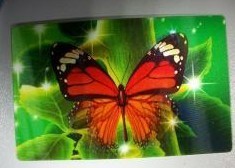 PLASTIC LETNICULAR Customized plastic 3D effect business lenticular card