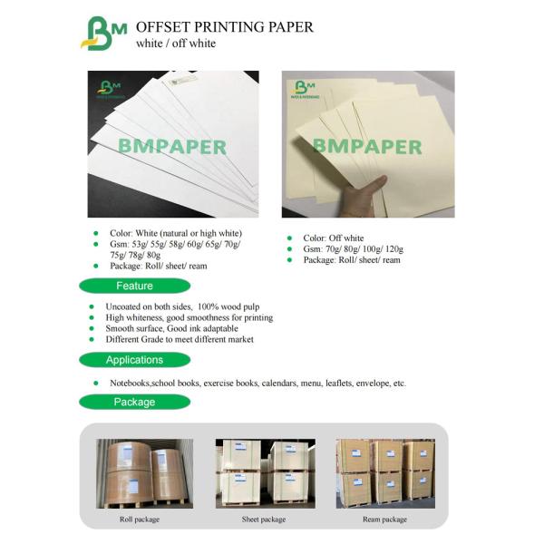 65g 75g 80g Book Paper White Color Cream Color Uncoated Plain Paper 622mm X 810mm