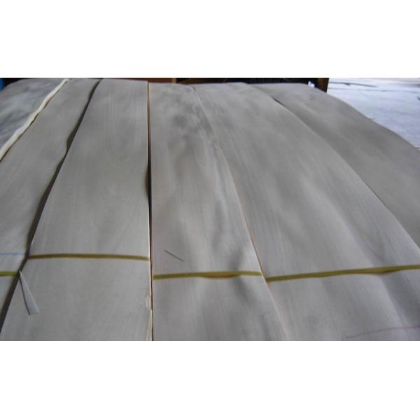 Buy Sliced Natural Burma White Birch Wood Veneer Sheet at wholesale prices