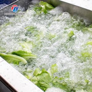 Watercress Bubble Generating Vegetable Fruit Cleaning Machine , Apricot