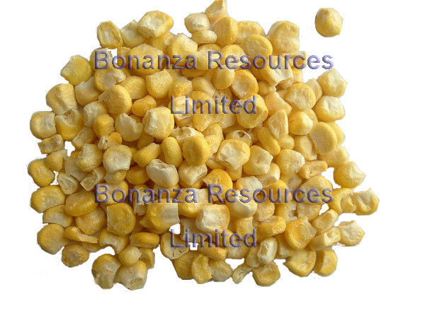 Buy Freeze Dried Sweet Corn Ingredients of Instant Soup Noodles at wholesale prices