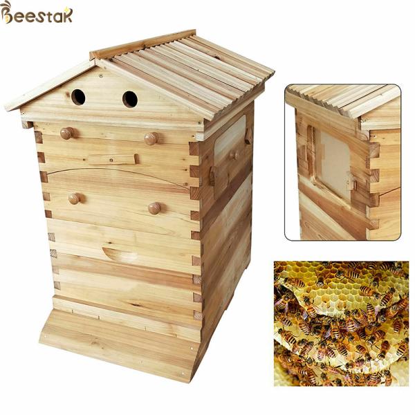 Buy Beehive Apiculture Beekeeping Equipment Automatic Self Flowing for Beekeeping at wholesale prices