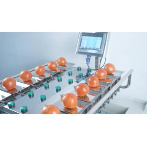 250g 500g 1000g Manual Packaging Machine Vegetables Fruits Weighing