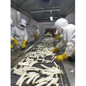 10×10×3mm Food Dehydrator Chips / Dehydrated Carrot Flakes With ISO Approval